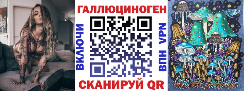 blacksprut зеркало Заринск Псилоцибиновые грибы Psilocybe